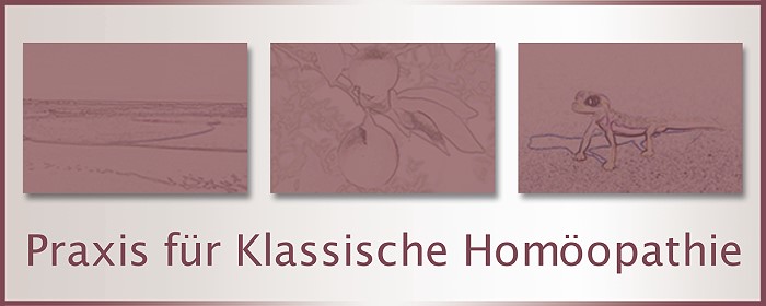 Startseite Homöopathie Bad Kissingen / Hebamme, Heilpraktikerin Karin Nebel-Durst